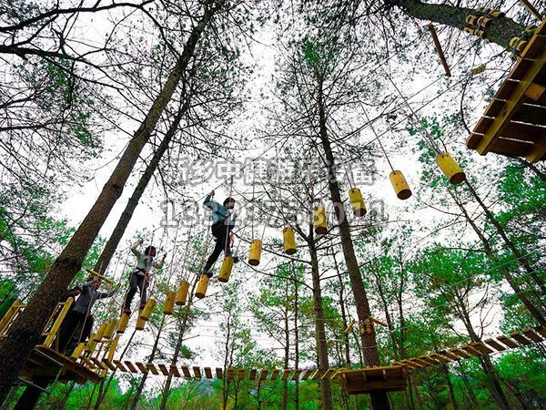 叢林穿越設(shè)備的搭建對(duì)環(huán)境有影響嗎？